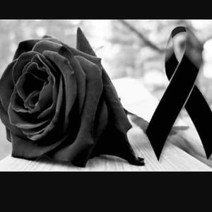 Meet your Posher, Ed